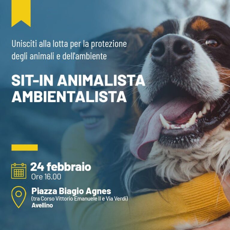 Ad Avellino Sergio Costa per un confronto su temi animalisti