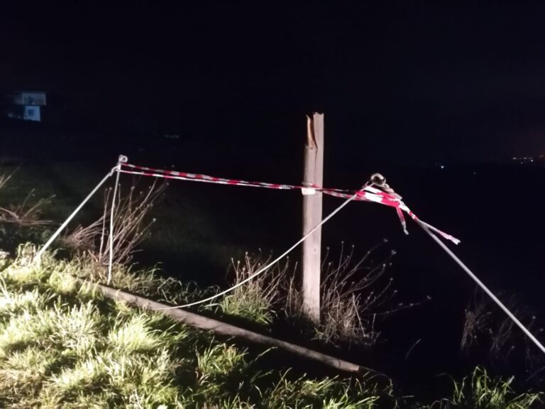 Palo_tranciato_Grottaminarda