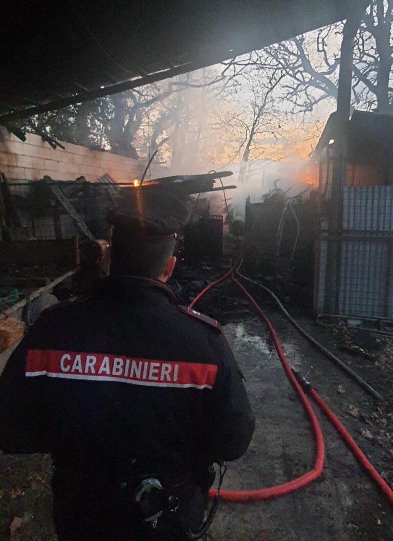 Fontanarosa, in fiamme capanno adibito a deposito agricolo