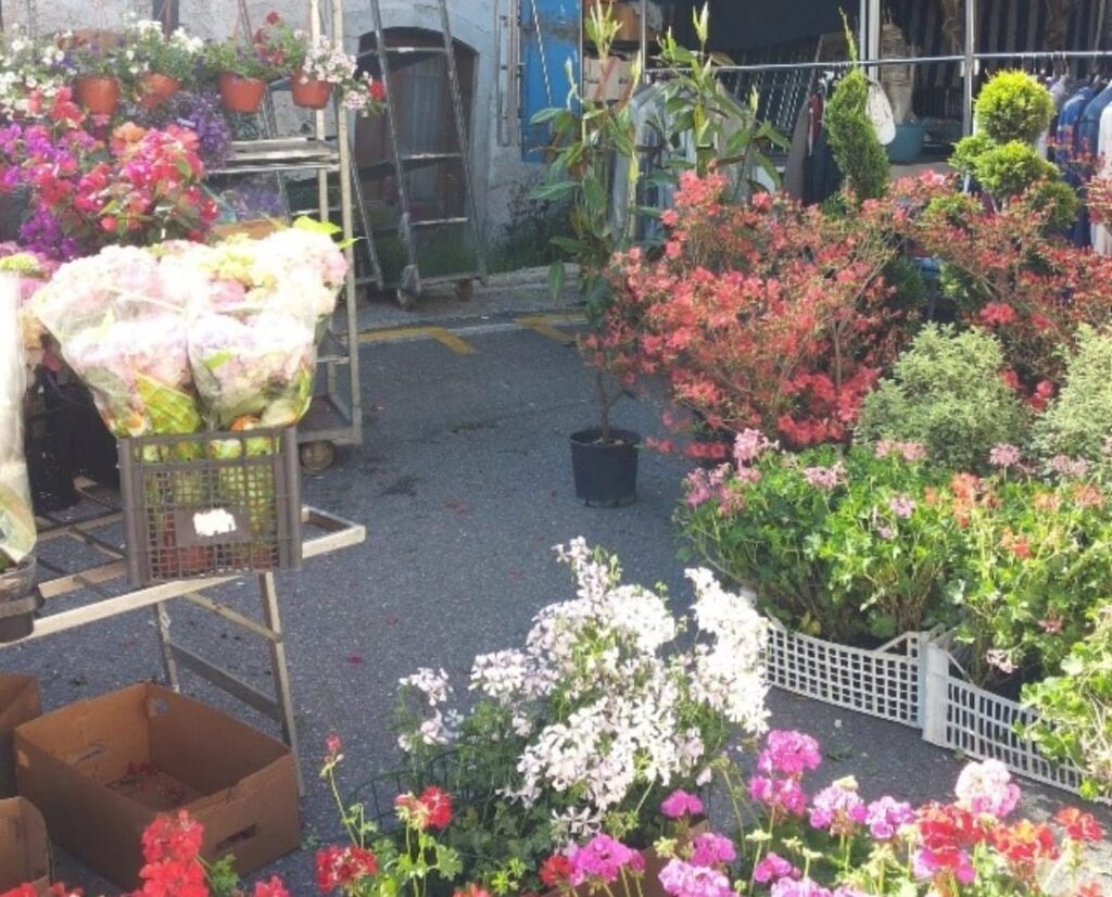 Ariano_Mercato