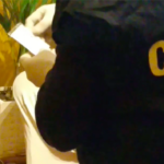 Schermata 2024-03-29 alle 15.11.22