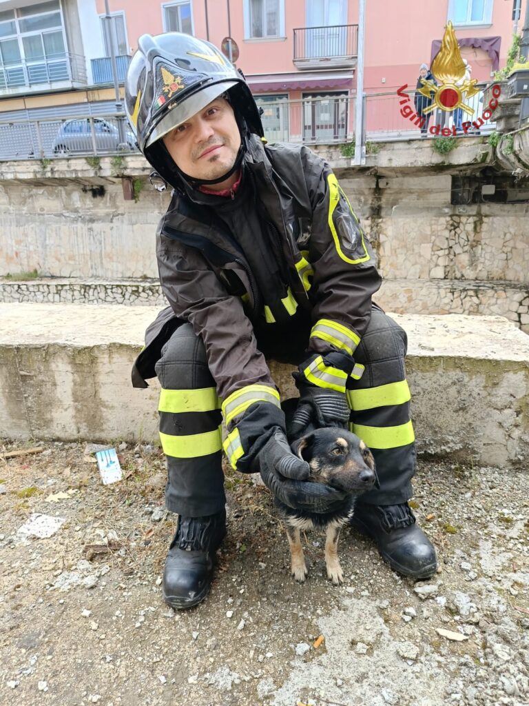 Cagnolino_Vigile