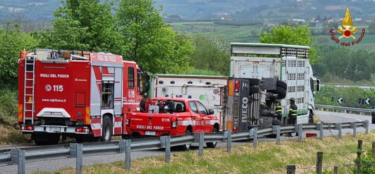 VIDEO/ Venticano, mezzo che trasportava suini si ribalta in una curva