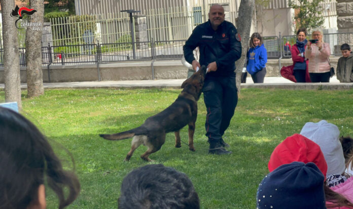 cane_carabiniere_Neo_2