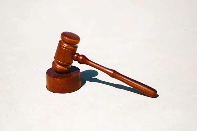 Estratto del ricorso proposto al Tribunale di Avellino iscritto al n. 739 R.G. Volontaria Giurisdizione