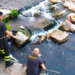 Vigili_del_fuoco_cane