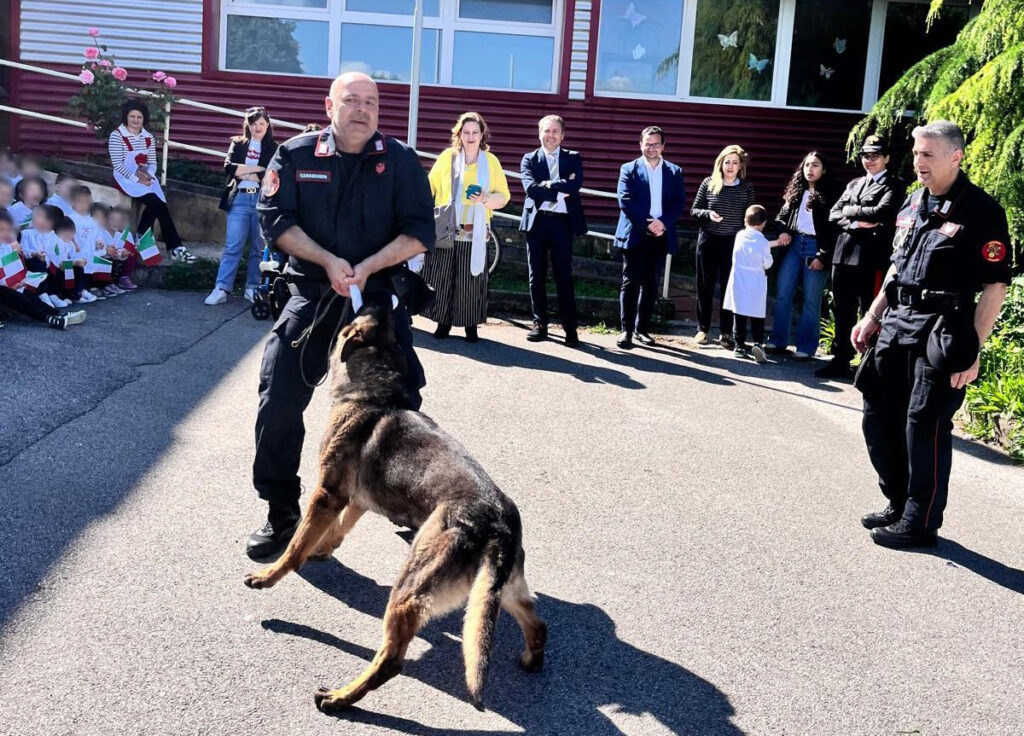 cane_Neo_nucleo_Cinofili_Carabinieri_Sarno