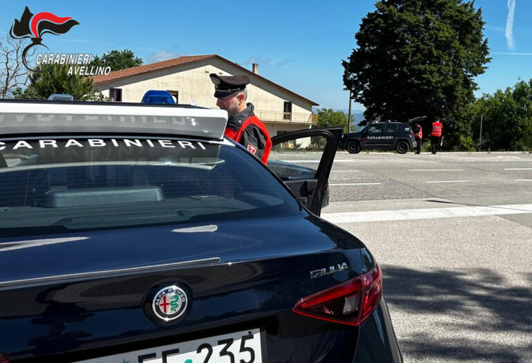 Una settimana di intensi controlli: i Carabinieri denunciano due persone