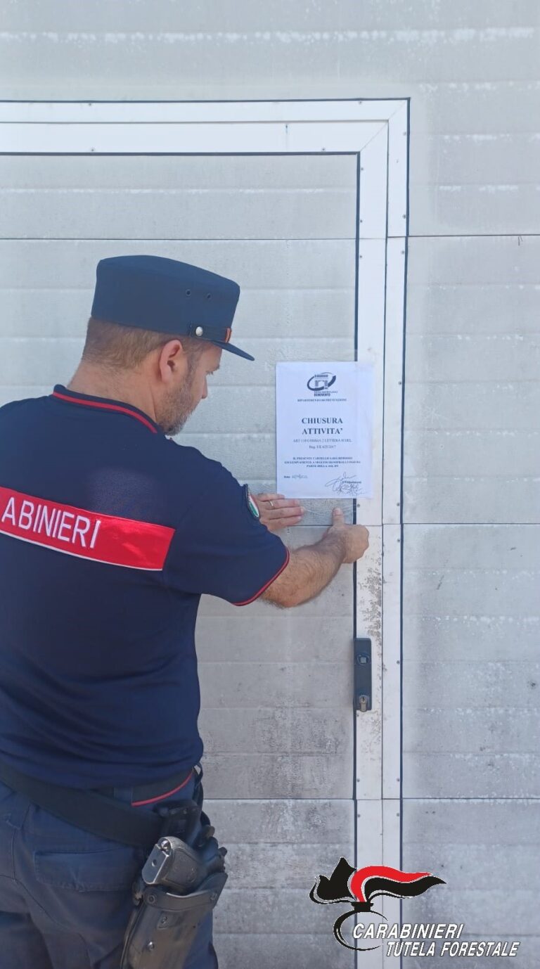 Assenza di requisiti igienici: chiusura immediata dell’attività