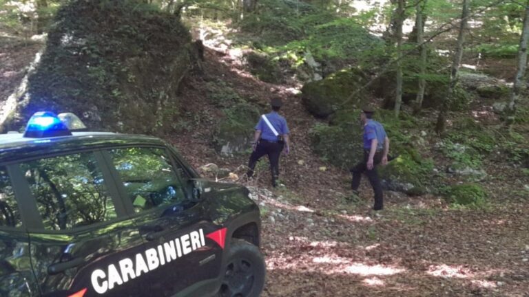 In cerca di funghi, perde l’orientamento: rintracciato dai Carabinieri