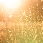 kent-pilcher-87MIF4vqHWg-unsplash