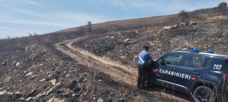 Estate rovente, fermato in tempo dai carabinieri: evitato l’inizio di una nuova giornata da incubo