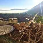 101e54e4-8083-4372-b923-371df032c7f2