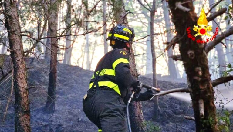 La montagna di Montevergine torna a bruciare: cinque ore di intervento per domare le fiamme