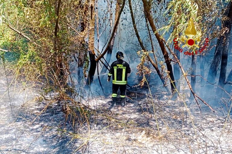 L’Irpinia continua a bruciare, 60 interventi per i caschi rossi: rinforzi dalla Toscana