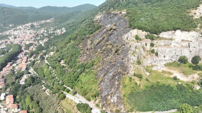 Incendio a Montevergine, D’Alessio: “La giunta ha deliberato lo stato di calamità naturale”