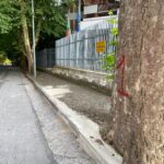 Platani taglio abbattimento