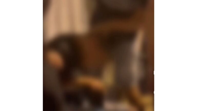 Tredicenne picchiato e filmato dal “branco” solidarietà da Comune e Forum di Sirignano