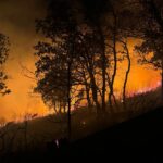 incendio montevergine