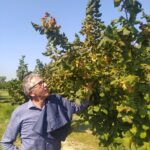 2e336e1d-6811-45d8-a210-26e106979793