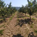 82d0c56b-3b4f-48cc-b5c8-53a3e90b678c