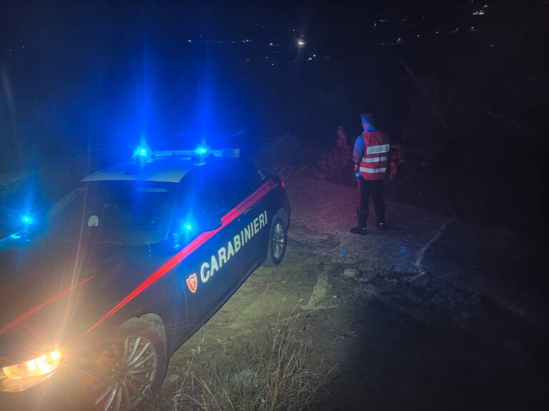 Colpito alla testa da un albero caduto: muore 45enne. Tragedia nei campi