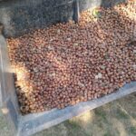 84791ac2-e01b-49ec-849f-8d5845b4298d