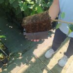 89156a37-442c-434c-97b7-6163be2fa585