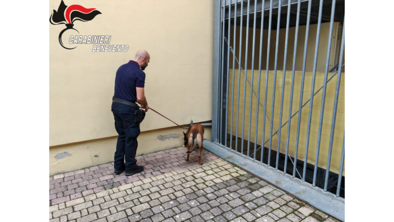 Benevento: controlli antidroga nelle scuole per la sicurezza dei giovani