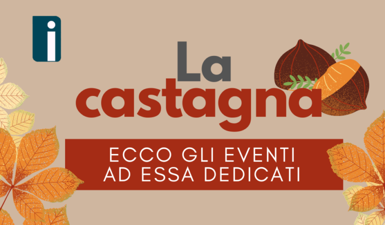 La castagna: un’eccellenza irpina. Ecco dove assaggiare questa prelibatezza