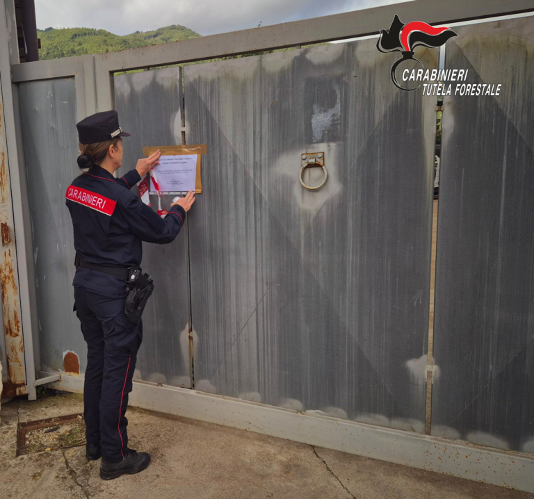 I Carabinieri denunciano due persone per reati ambientali