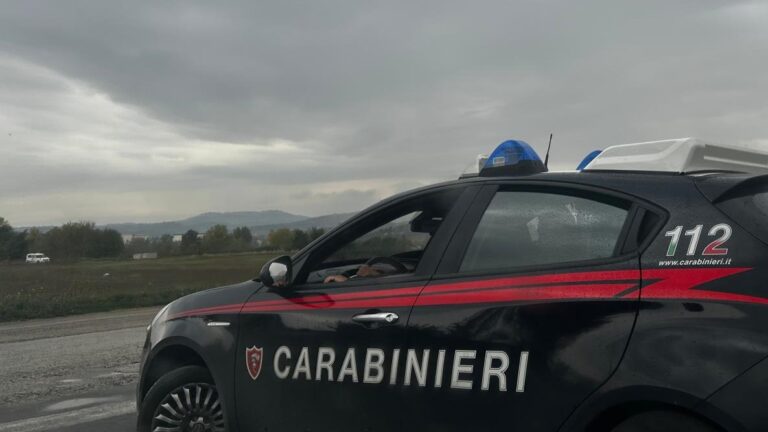 VIDEO/ I Carabinieri scoprono una piccola piantagione di canapa e sventano furti agli stabilimenti industriali