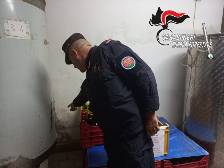Sequestrati a Taurasi 25.000 litri di vino