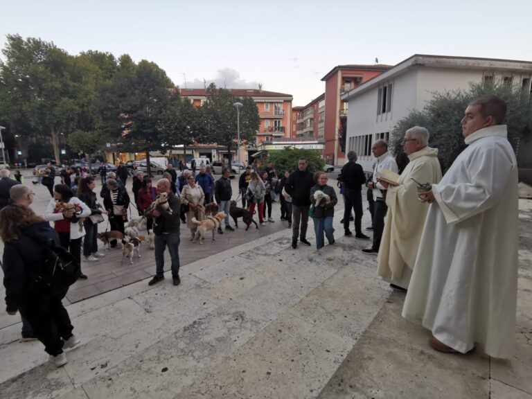 Ad Avellino la benedizione degli animali nel segno di San Francesco