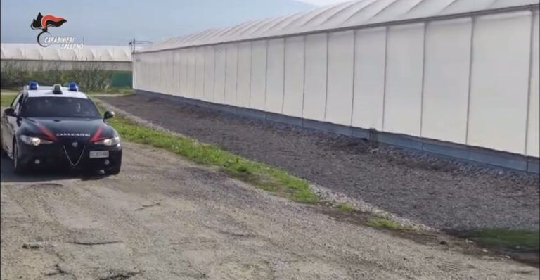 VIDEO/ Tremila euro per il permesso di soggiorno: sgominata una banda, sedici misure cautelari