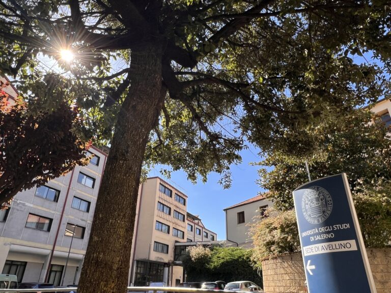 App: Avellino merita di più. Primarie subito, partecipazione vera