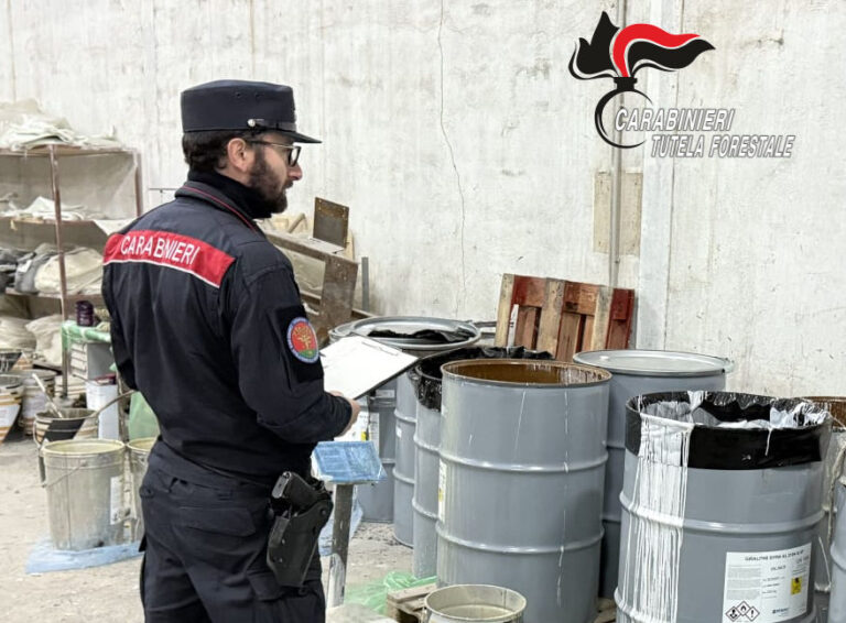 I Carabinieri Forestali sequestrano un opificio