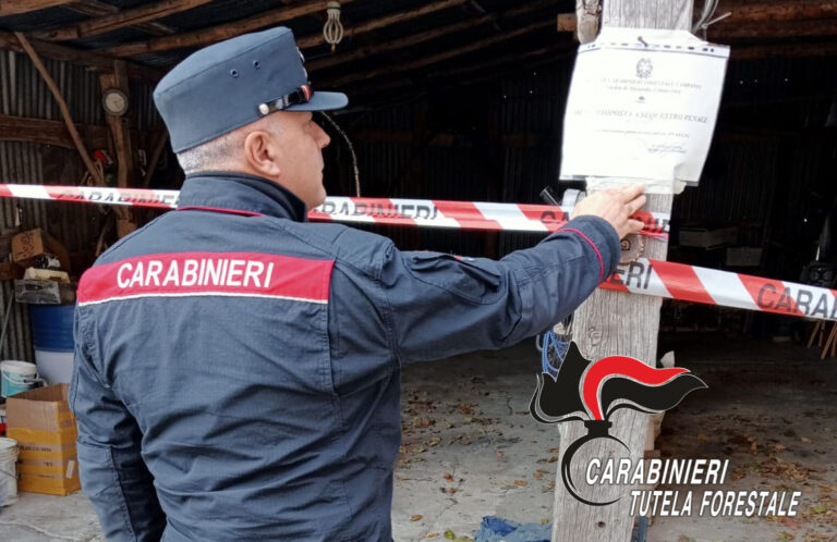 I Carabinieri Forestali sequestrano un opificio e chiudono un’officina abusiva
