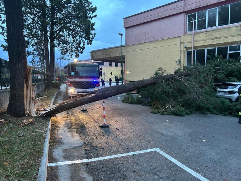 Irpinia sferzata dal vento, alberi caduti e strade interrotte