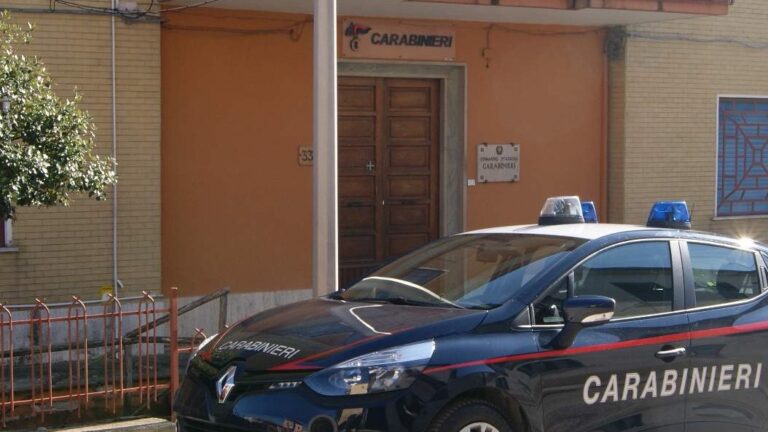 Controllo dei Carabinieri e della ASL Veterinaria in un canile: riscontrate carenze da sanare