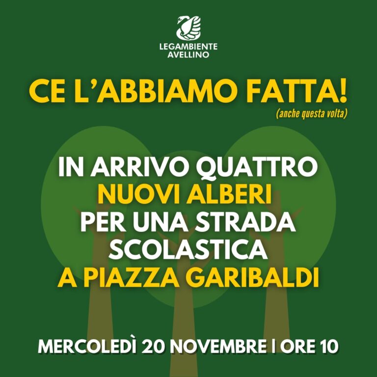 Domani saranno piantati quattro nuovi alberi a Piazza Garibaldi