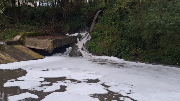 FOTODENUNCIA/ Il mistero del fiume Calore imbiancato con la soda