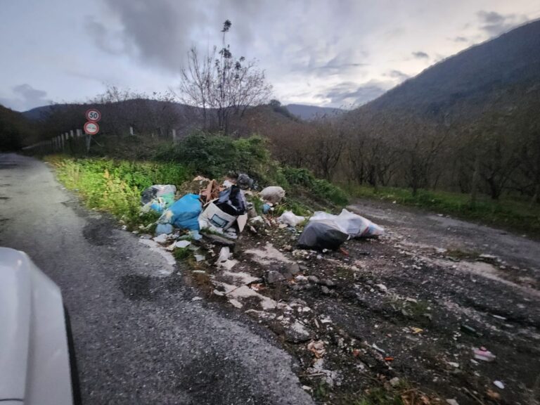 FOTO-DENUNCIA/ Dal “sacchetto selvaggio” ai frigoriferi: la Taurano-Monteforte e’ “terra di nessuno”?