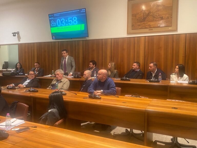 Mozione Centro Autismo approvata all’unanimità. In Consiglio entra Giulia Zaolino