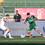 avellino