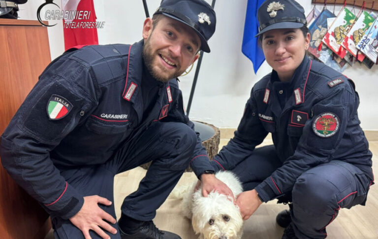 Aquilonia, i Carabinieri Forestali salvano un cane disperso