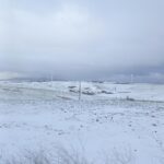 16c6db51-5dd0-44b7-8a24-cb4ebf68055e