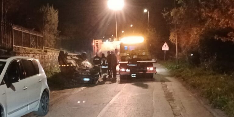 Cinghiale sbuca lungo la Ss88, non riesce ad evitarlo e si ribalta: donna in ospedale