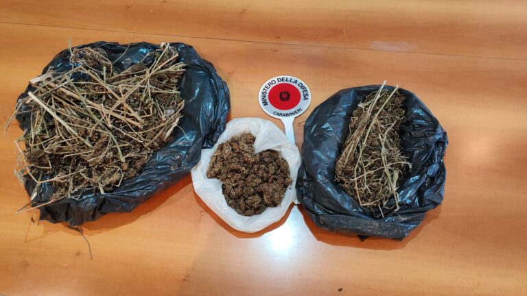 Trovati in possesso di 165 grammi di hashish e 950 grammi di marijuana: due arresti