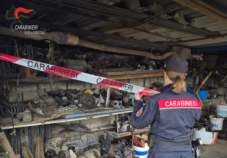 I Carabinieri Forestali sequestrano un’autofficina: denunciato un 40enne